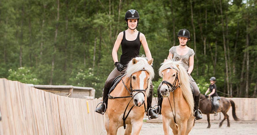 Reiten Luttach Ahrntal