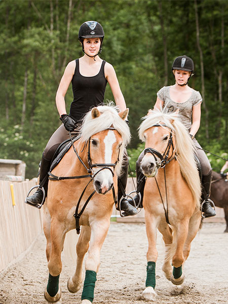 Horseback riding in Ahrntal