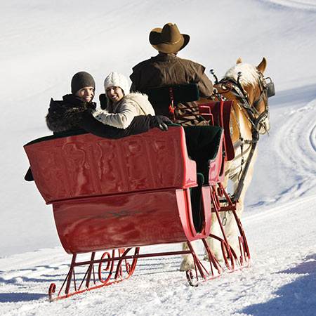 Gite in carrozza equitazione invernale in Valle Aurina